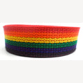 Spanband regenboog op rol 25 mm 5 meter